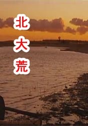 伊人精品视频
